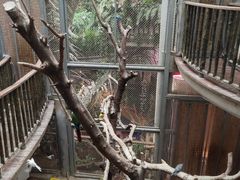 -正佳雨林生态植物园