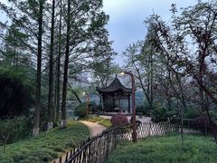 -重庆彩云湖湿地公园