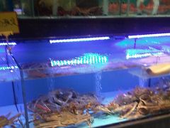 -阿伟海鲜楼·福建菜(延寿店)