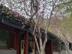 -潭柘寺景区
