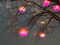 -大雁塔北广场音乐喷泉