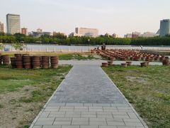 -莲花池公园