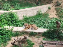 -石家庄市动物园