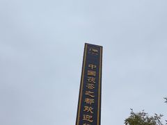 -茯茶镇