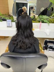 -GANO HAIR 