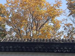 -苏州上方山国家森林公园