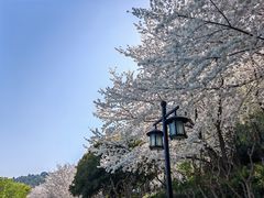 -苏州上方山国家森林公园