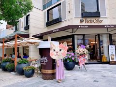 -Peet's Coffee皮爷咖啡(大学路店)