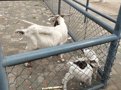 -长白岛森林公园