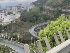 -福道