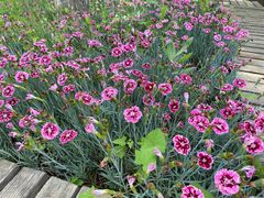 -渭南桃花源民俗文化园