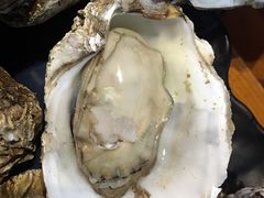 -烧蠔帮·湛江生蚝(工农店)