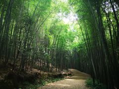 -苏州环秀晓筑养生度假村