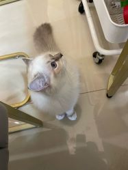 -Fanni美甲美睫皮肤管理