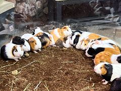 -正佳雨林生态植物园
