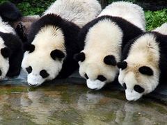 -西安秦岭野生动物园