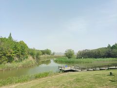 -上海吴淞炮台湾国家湿地公园