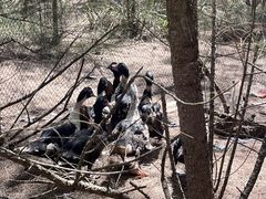 -坛南湾阿强农家乐.海鲜大排档老字号(福州地标美食店)