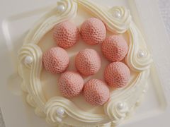 -壹点壹客·生日蛋糕(龙岗店)