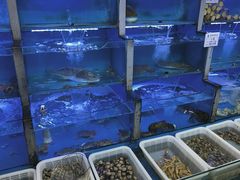 -桔子海鲜烧烤大排档(金沙滩店)