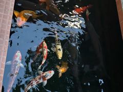 -侠成水上农庄(工业大道店)