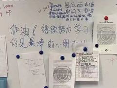 -JT PREP国际学科课程·IB·AP·Alevel(陆家嘴校区)