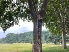 -河南省黄河迎宾馆