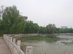 -莲花池公园