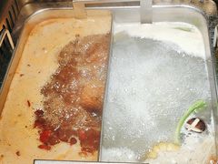 -蜀九鼎毛肚火锅(惠安店)