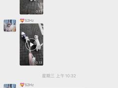 -電力宠物公司(武定路店)