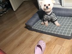 -惠康宠物医院(华能路店)