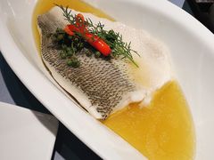 fusion水煮鱼-梧桐北京烤鸭·铜锅涮肉(海岸城店)