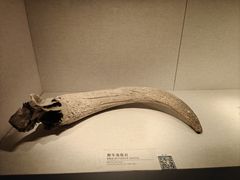 -四川宋瓷博物馆
