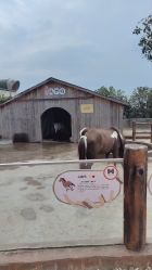 -造物庄园 萌宠纪(苏州湾歌林公园店)