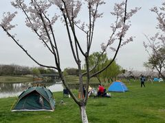 -贡湖湾湿地公园