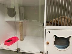 -沐沐家宠物(成寿寺店)