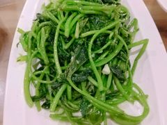 地瓜叶-四川小胡子海鲜(丁村万人海鲜广场店)