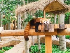 -北京野生动物园