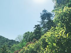 -杭州黄龙洞
