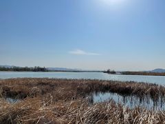 -野鸭湖国家湿地公园