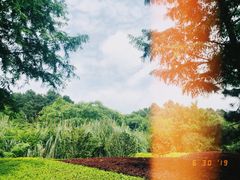 -铁山坪森林公园