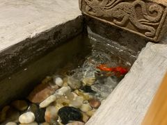 -申鲜大师·简餐(科技生态园店)