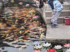 -上海东林寺(金山区)