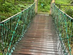 -宁波五龙潭景区