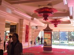 -拉斯维加斯永利酒店