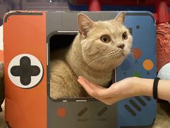 -Catmate·猫肥家润(金润铂宫店)