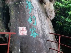 -呀诺达热带雨林