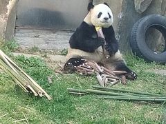 -大连森林动物园