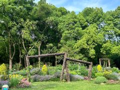 -上海共青森林公园