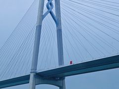 -招商蛇口邮轮母港(观光客运)